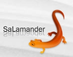 Proyecto Salamander